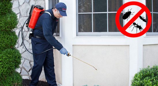 Şile Gümüşkurt İlaçlama böcek ilaçlama ve haşere kontrolü — ilaclama-tr.com